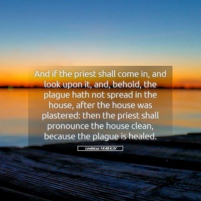 Picture 05 - Leviticus 14:48 KJV - And if the priest shall come in, and look upon - Bible Verse Picture