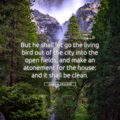 Picture 05 - Leviticus 14:53 KJV - But he shall let go the living bird out of the - Bible Verse Picture