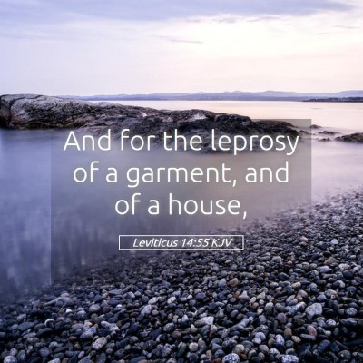 Picture 05 - Leviticus 14:55 KJV - And for the leprosy of a garment, and of a - Bible Verse Picture