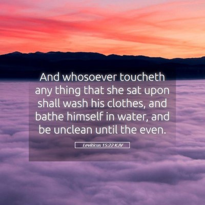 Picture 05 - Leviticus 15:22 KJV - And whosoever toucheth any thing that she sat - Bible Verse Picture