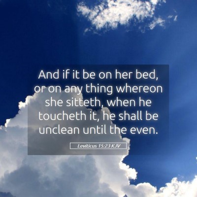 Picture 05 - Leviticus 15:23 KJV - And if it be on her bed, or on any thing whereon - Bible Verse Picture