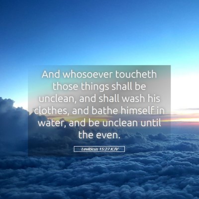 Picture 05 - Leviticus 15:27 KJV - And whosoever toucheth those things shall be - Bible Verse Picture