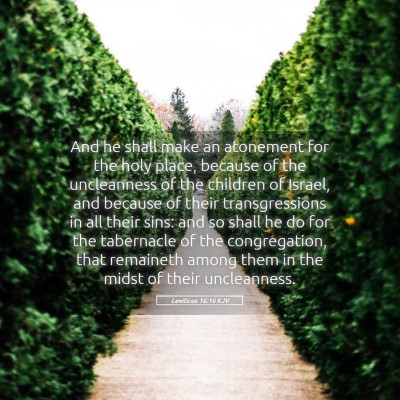 Picture 05 - Leviticus 16:16 KJV - And he shall make an atonement for the holy - Bible Verse Picture