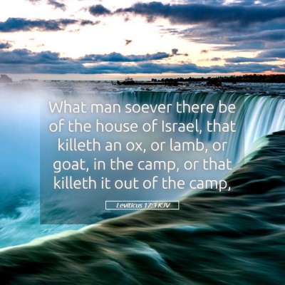 Picture 05 - Leviticus 17:3 KJV - What man soever there be of the house of Israel, - Bible Verse Picture