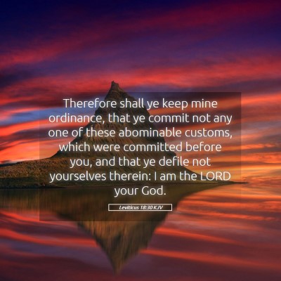 Picture 05 - Leviticus 18:30 KJV - Therefore shall ye keep mine ordinance, that ye - Bible Verse Picture
