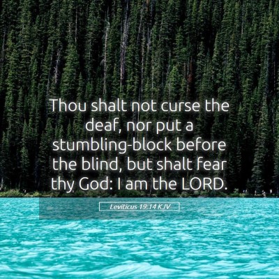 Picture 05 - Leviticus 19:14 KJV - Thou shalt not curse the deaf, nor put a - Bible Verse Picture