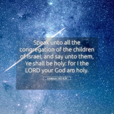 Picture 05 - Leviticus 19:2 KJV - Speak unto all the congregation of the children - Bible Verse Picture
