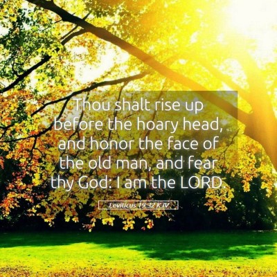 Picture 05 - Leviticus 19:32 KJV - Thou shalt rise up before the hoary head, and - Bible Verse Picture
