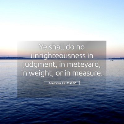 Picture 05 - Leviticus 19:35 KJV - Ye shall do no unrighteousness in judgment, in - Bible Verse Picture