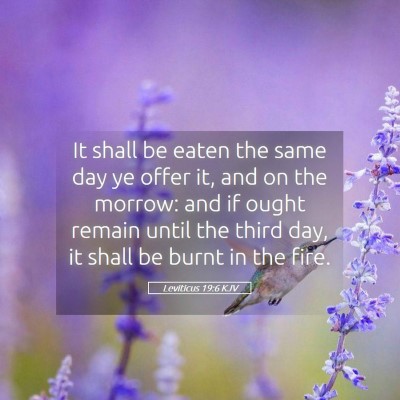 Picture 05 - Leviticus 19:6 KJV - It shall be eaten the same day ye offer it, and - Bible Verse Picture