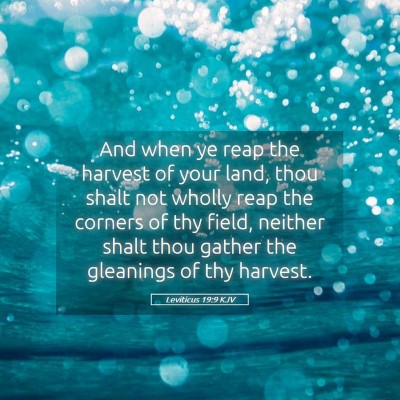 Picture 05 - Leviticus 19:9 KJV - And when ye reap the harvest of your land, thou - Bible Verse Picture