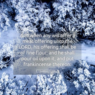 Picture 05 - Leviticus 2:1 KJV - And when any will offer a meat offering unto the - Bible Verse Picture