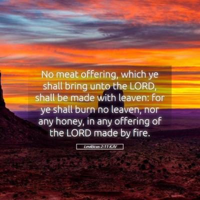 Picture 05 - Leviticus 2:11 KJV - No meat offering, which ye shall bring unto the - Bible Verse Picture