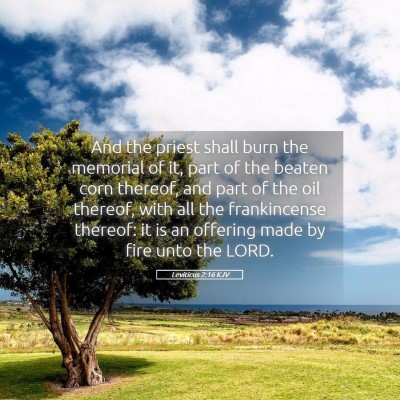 Picture 05 - Leviticus 2:16 KJV - And the priest shall burn the memorial of it, - Bible Verse Picture
