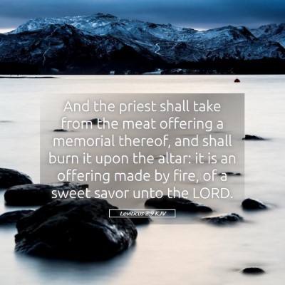 Picture 05 - Leviticus 2:9 KJV - And the priest shall take from the meat offering - Bible Verse Picture