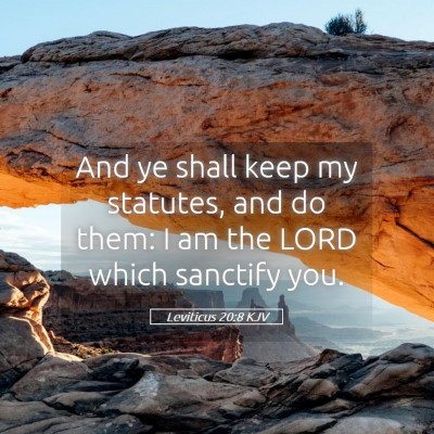 Picture 05 - Leviticus 20:8 KJV - And ye shall keep my statutes, and do them: I am - Bible Verse Picture