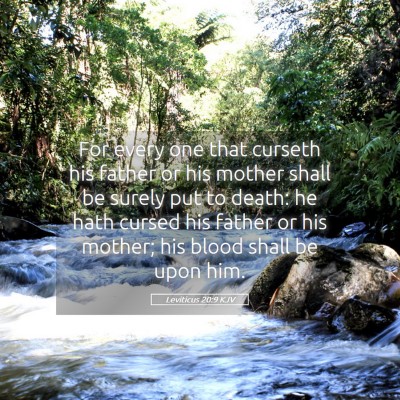 Picture 05 - Leviticus 20:9 KJV - For every one that curseth his father or his - Bible Verse Picture
