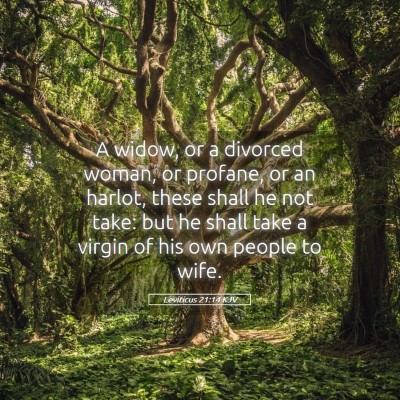 Picture 05 - Leviticus 21:14 KJV - A widow, or a divorced woman, or profane, or an - Bible Verse Picture