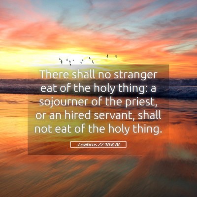 Picture 05 - Leviticus 22:10 KJV - There shall no stranger eat of the holy thing: a - Bible Verse Picture