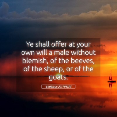 Picture 05 - Leviticus 22:19 KJV - Ye shall offer at your own will a male without - Bible Verse Picture