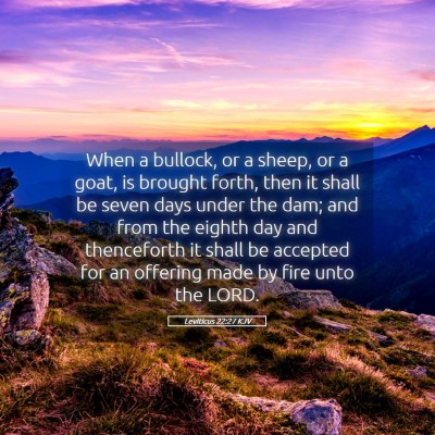 Picture 05 - Leviticus 22:27 KJV - When a bullock, or a sheep, or a goat, is brought - Bible Verse Picture