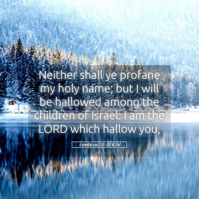Picture 05 - Leviticus 22:32 KJV - Neither shall ye profane my holy name; but I will - Bible Verse Picture