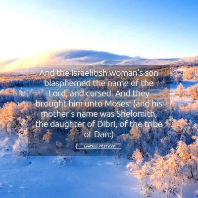 Picture 05 - Leviticus 24:11 KJV - And the Israelitish woman's son blasphemed the - Bible Verse Picture