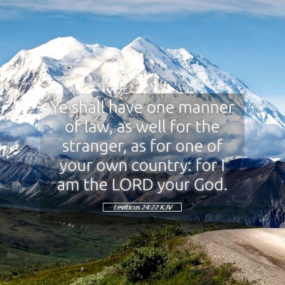 Picture 05 - Leviticus 24:22 KJV - Ye shall have one manner of law, as well for the - Bible Verse Picture