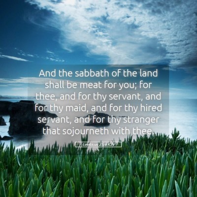 Picture 05 - Leviticus 25:6 KJV - And the sabbath of the land shall be meat for - Bible Verse Picture