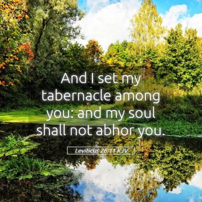 Picture 05 - Leviticus 26:11 KJV - And I set my tabernacle among you: and my soul - Bible Verse Picture