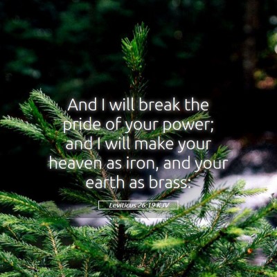 Picture 05 - Leviticus 26:19 KJV - And I will break the pride of your power; and I - Bible Verse Picture