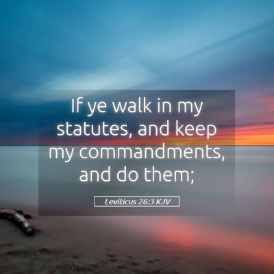 Picture 05 - Leviticus 26:3 KJV - If ye walk in my statutes, and keep my - Bible Verse Picture
