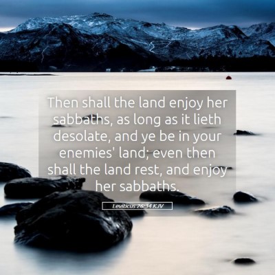 Picture 05 - Leviticus 26:34 KJV - Then shall the land enjoy her sabbaths, as long - Bible Verse Picture