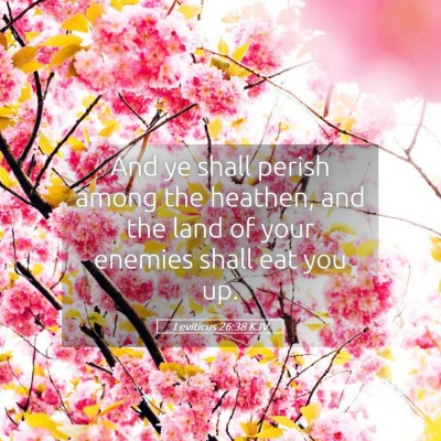 Picture 05 - Leviticus 26:38 KJV - And ye shall perish among the heathen, and the - Bible Verse Picture