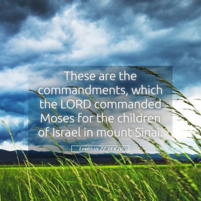 Picture 05 - Leviticus 27:34 KJV - These are the commandments, which the LORD - Bible Verse Picture