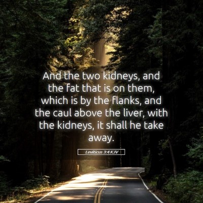 Picture 05 - Leviticus 3:4 KJV - And the two kidneys, and the fat that is on them, - Bible Verse Picture