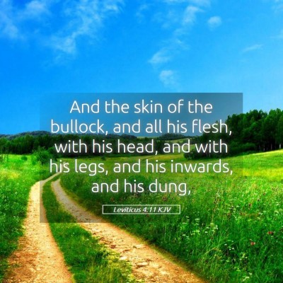 Picture 05 - Leviticus 4:11 KJV - And the skin of the bullock, and all his flesh, - Bible Verse Picture