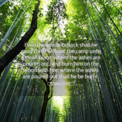 Picture 05 - Leviticus 4:12 KJV - Even the whole bullock shall he carry forth - Bible Verse Picture