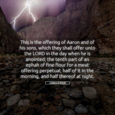 Picture 05 - Leviticus 6:20 KJV - This is the offering of Aaron and of his sons, - Bible Verse Picture