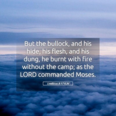 Picture 05 - Leviticus 8:17 KJV - But the bullock, and his hide, his flesh, and his - Bible Verse Picture