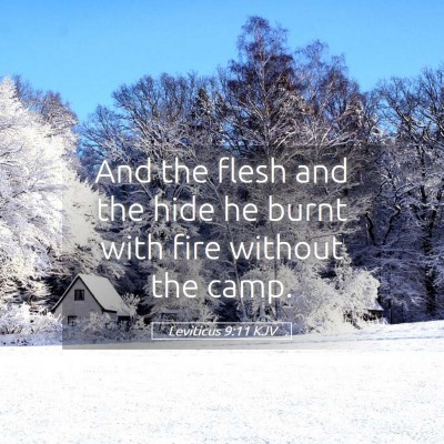 Picture 05 - Leviticus 9:11 KJV - And the flesh and the hide he burnt with fire - Bible Verse Picture