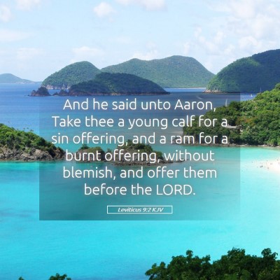 Picture 05 - Leviticus 9:2 KJV - And he said unto Aaron, Take thee a young calf - Bible Verse Picture