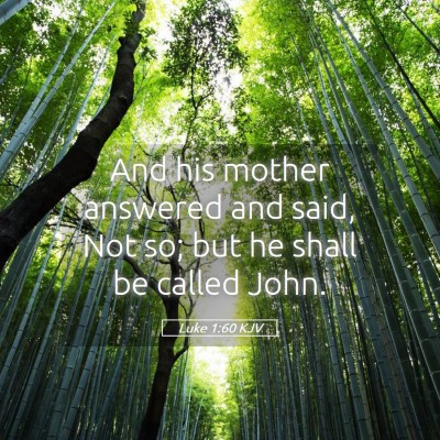 Picture 05 - Luke 1:60 KJV - And his mother answered and said, Not so; but he - Bible Verse Picture