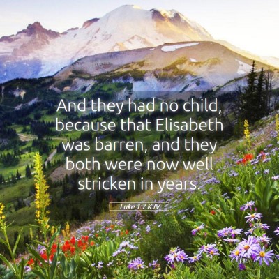 Picture 05 - Luke 1:7 KJV - And they had no child, because that Elisabeth was - Bible Verse Picture