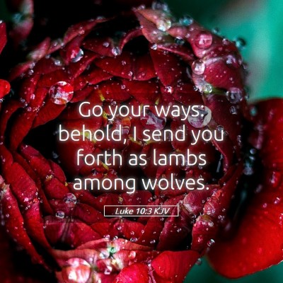 Picture 05 - Luke 10:3 KJV - Go your ways: behold, I send you forth as lambs - Bible Verse Picture