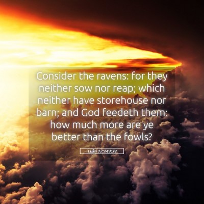 Picture 05 - Luke 12:24 KJV - Consider the ravens: for they neither sow nor - Bible Verse Picture