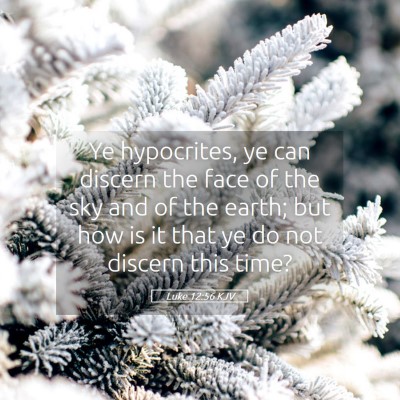 Picture 05 - Luke 12:56 KJV - Ye hypocrites, ye can discern the face of the sky - Bible Verse Picture
