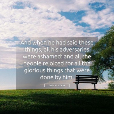 Picture 05 - Luke 13:17 KJV - And when he had said these things, all his - Bible Verse Picture