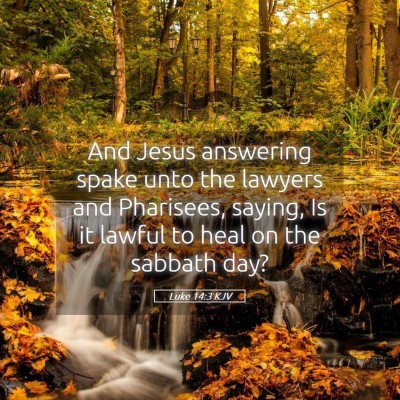 Picture 05 - Luke 14:3 KJV - And Jesus answering spake unto the lawyers and - Bible Verse Picture