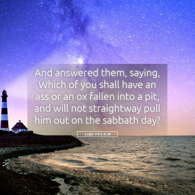Picture 05 - Luke 14:5 KJV - And answered them, saying, Which of you shall - Bible Verse Picture